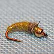 Olive Beadhead Caddis Larva